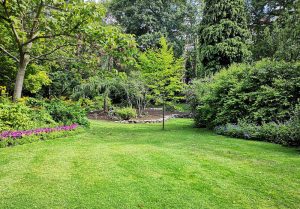 Optimiser l'expérience du jardin à Saint-Paul-de-Varax